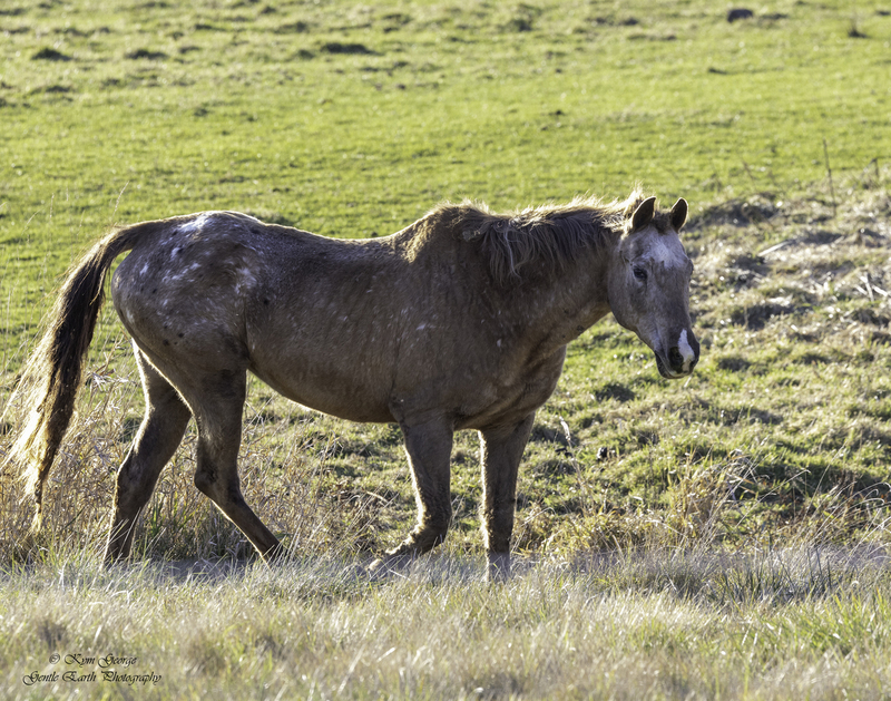 0H4A2166-Edit.jpg