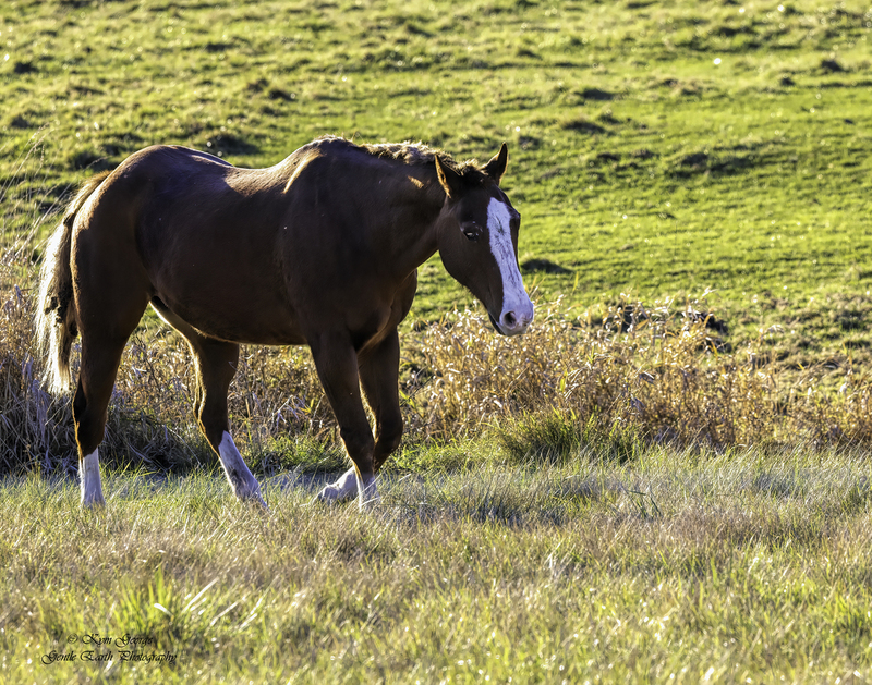 0H4A2174-Edit.jpg
