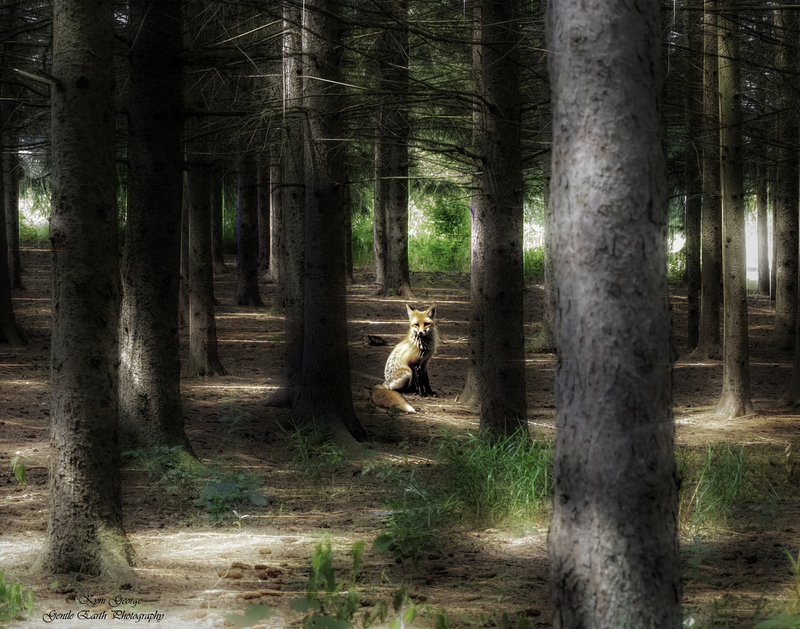 0H4A2200-Edit copy(1).jpg