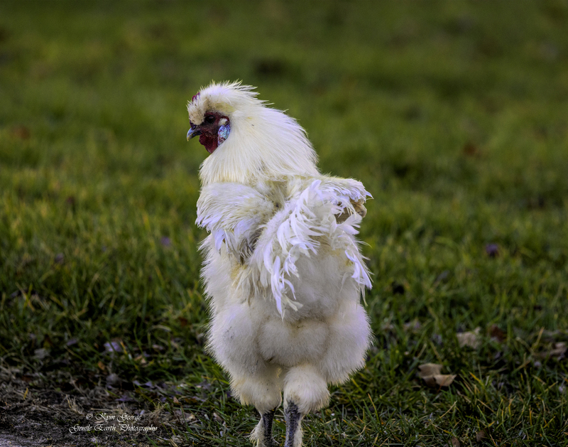 0H4A2251-Edit.jpg