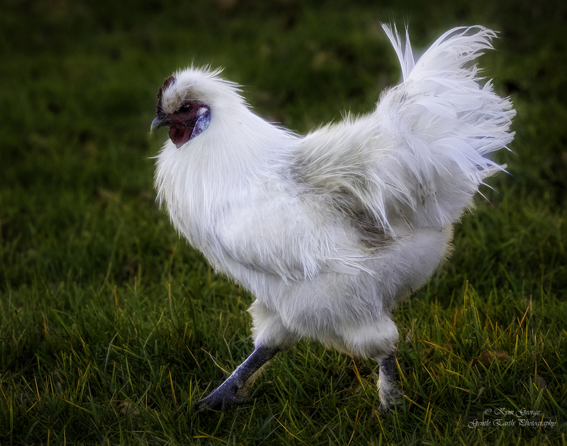 0H4A2260-Edit.jpg