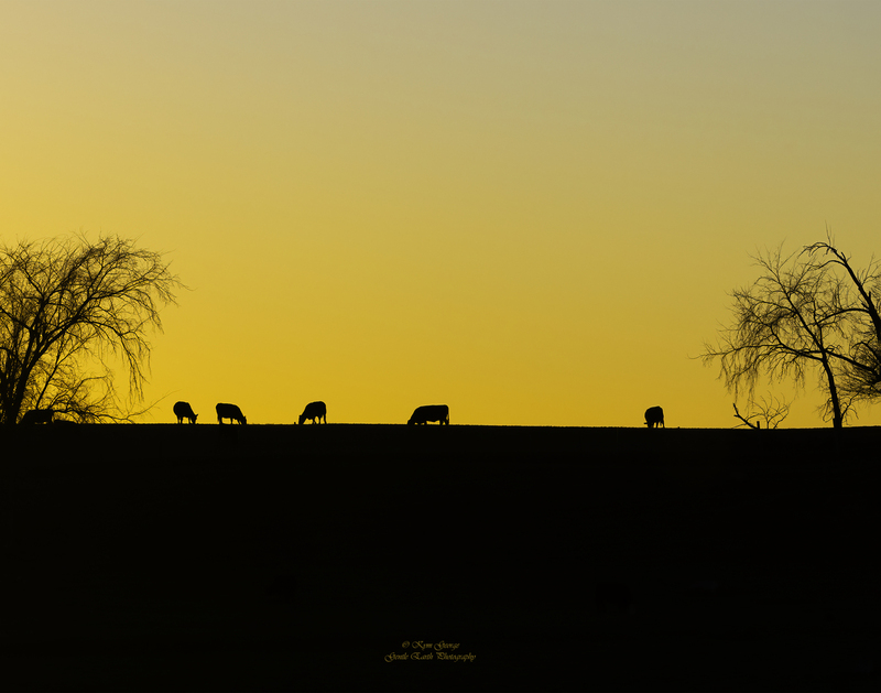 0H4A2305-Edit(1).jpg