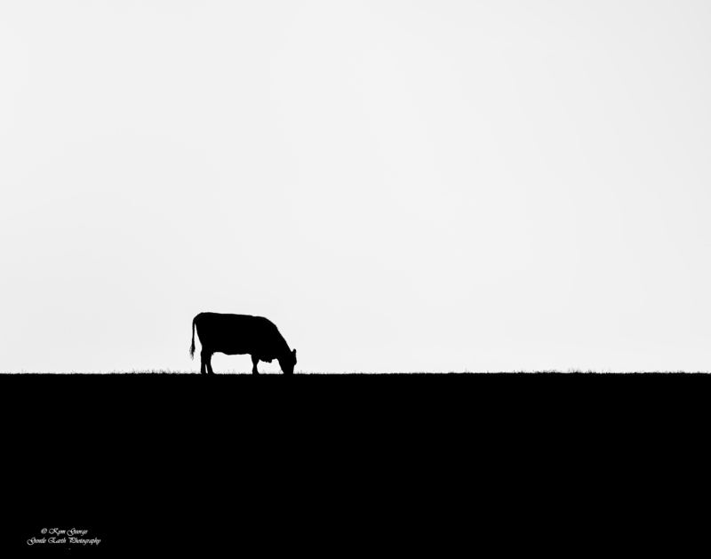0H4A2308-Edit(2).jpg