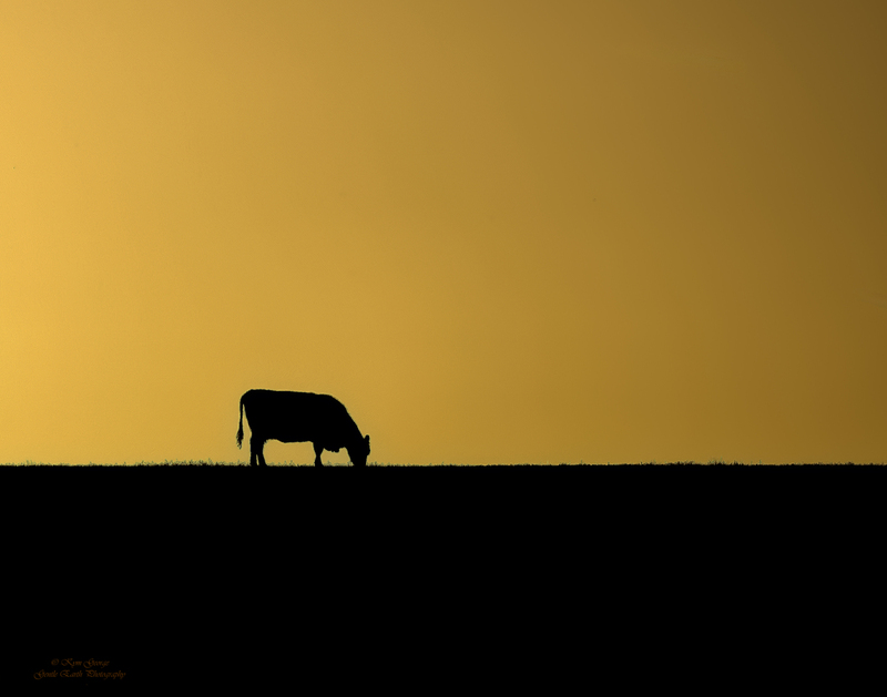 0H4A2308-Edit.jpg