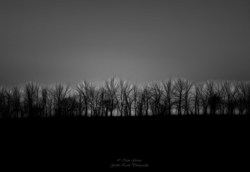 0H4A2335-Edit(1).jpg