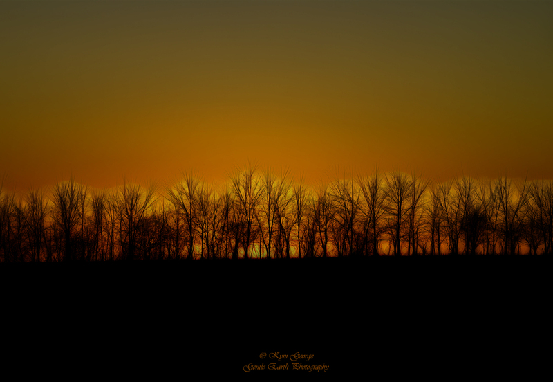 0H4A2335-Edit.jpg