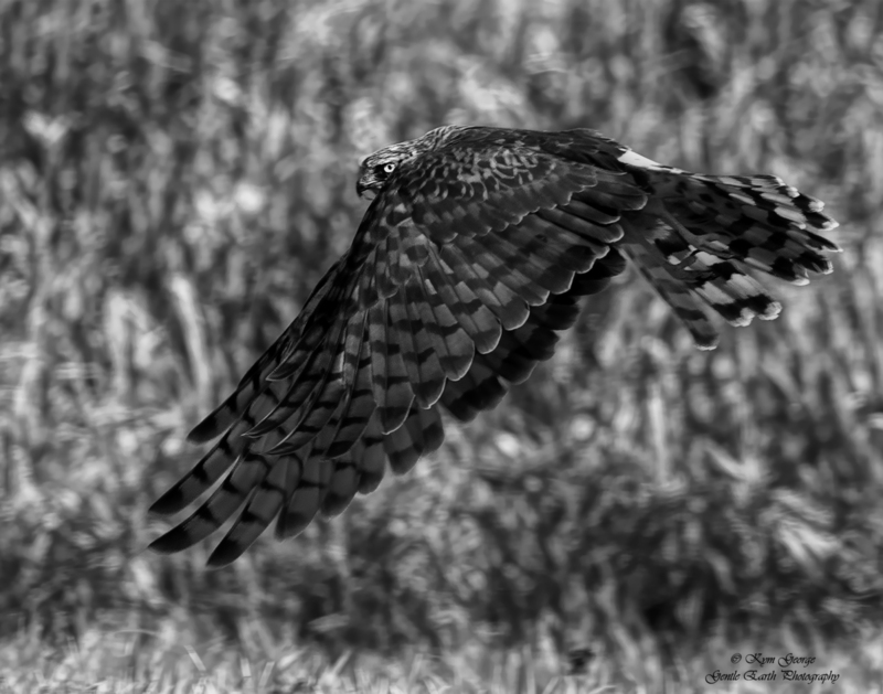 0H4A3077-Edit-Edit(1).jpg