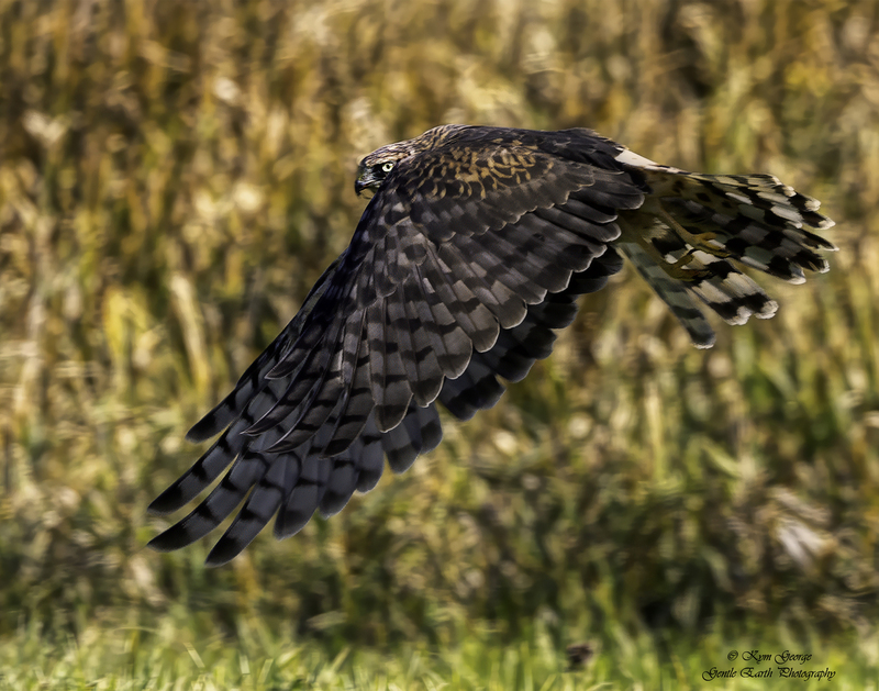 0H4A3077-Edit-Edit.jpg