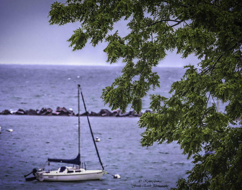 0H4A3164-Edit(1).jpg