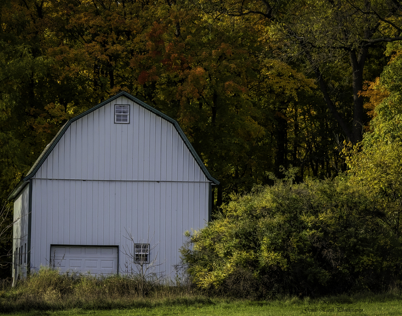 0H4A3418-Edit(1).jpg