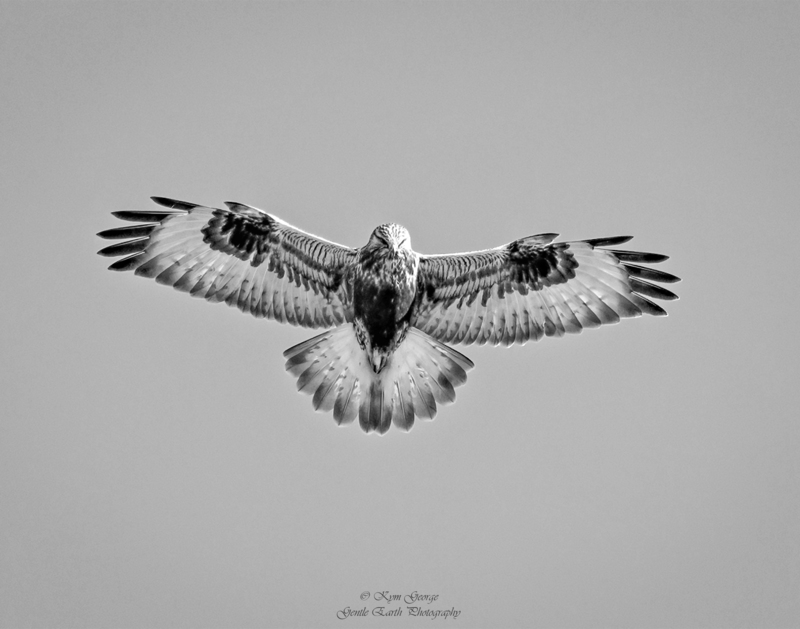 0H4A3610-Edit(1).jpg