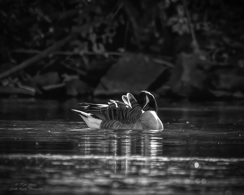 0H4A3622-Edit(1).jpg