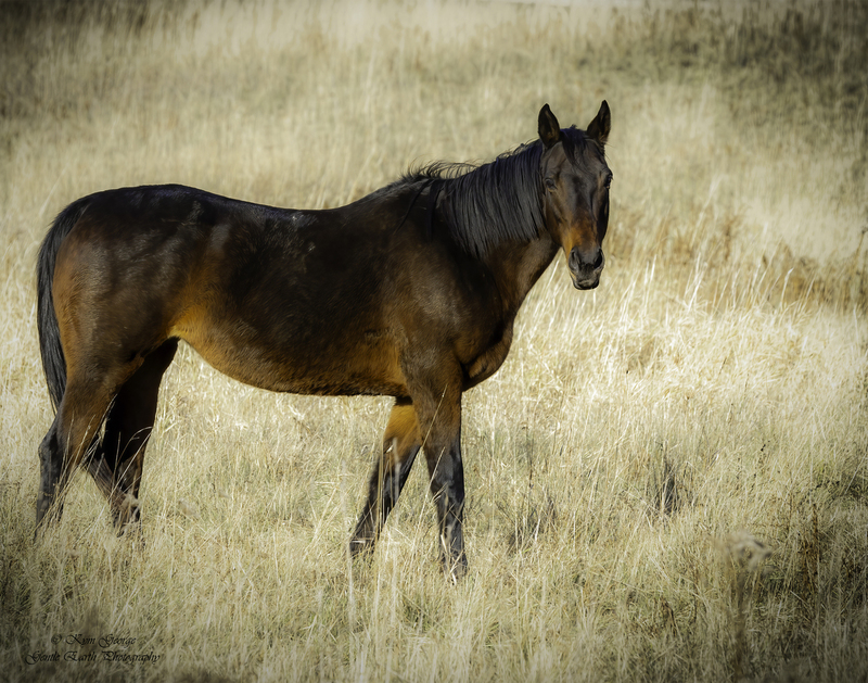 0H4A3692-Edit.jpg