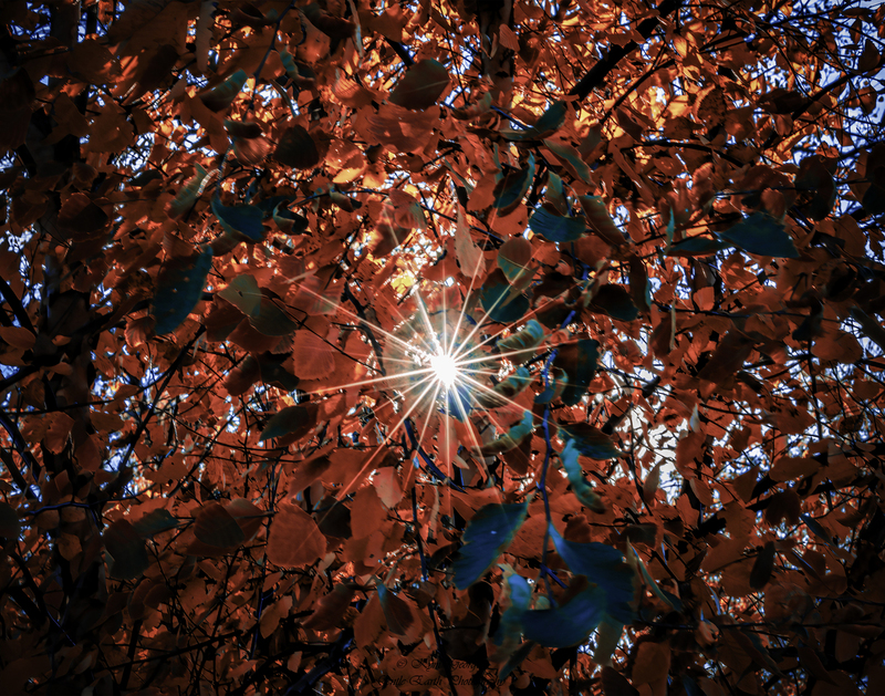 0H4A3815-Edit(1).jpg