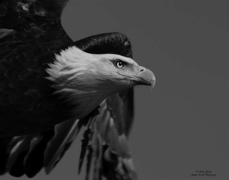 0H4A3905-Edit(1).jpg