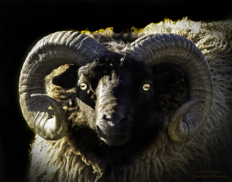 0H4A4140-Edit(1).jpg