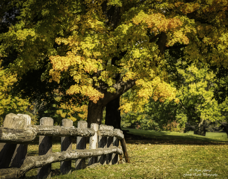 0H4A4149-Edit(1).jpg