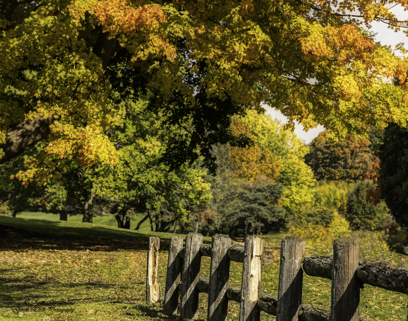 0H4A4160-Edit copy(1).jpg