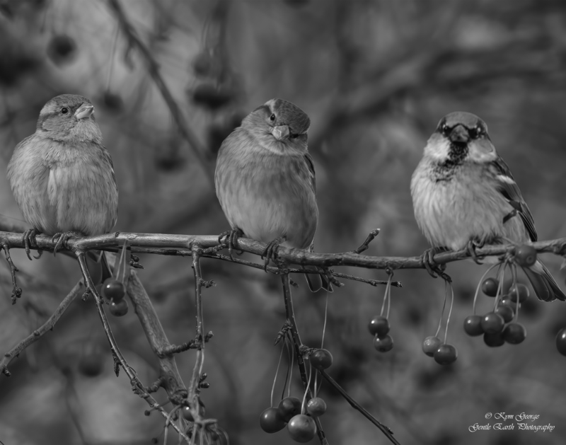 0H4A4719-Edit.jpg