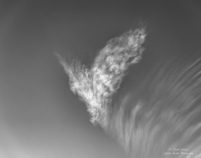 0H4A5060-Edit(1).jpg