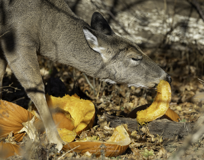 0H4A5537-Edit.jpg