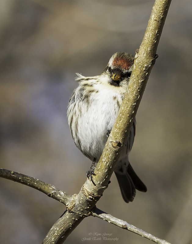 0H4A5664-Edit.jpg