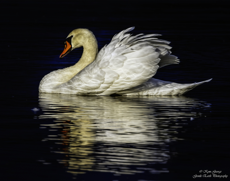 0H4A5759-Edit.jpg