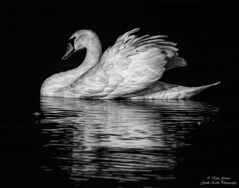 0H4A5759-Edit1.jpg