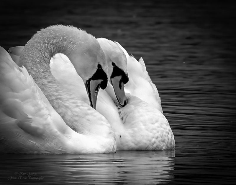 0H4A5819-Edit.jpg