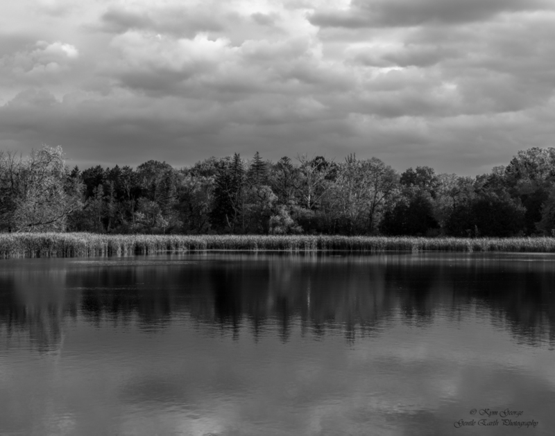 0H4A5874-Edit.jpg