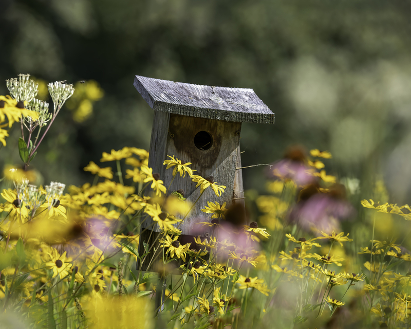 0H4A5941-Edit.jpg