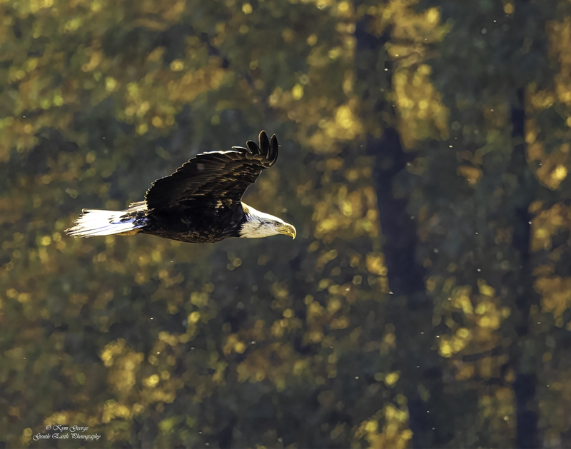 0H4A5994-Edit.jpg