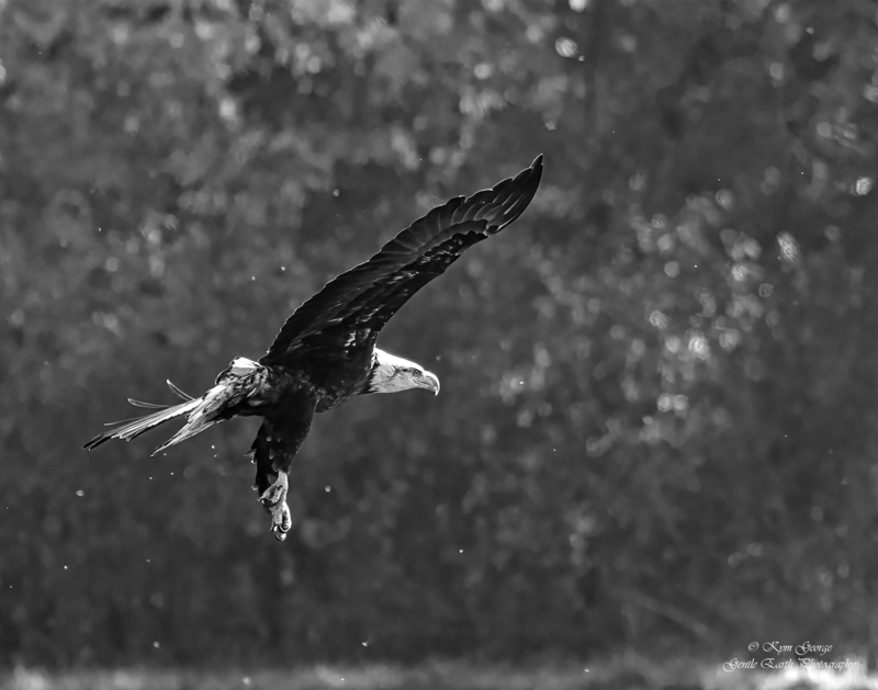0H4A5999-Edit(1).jpg