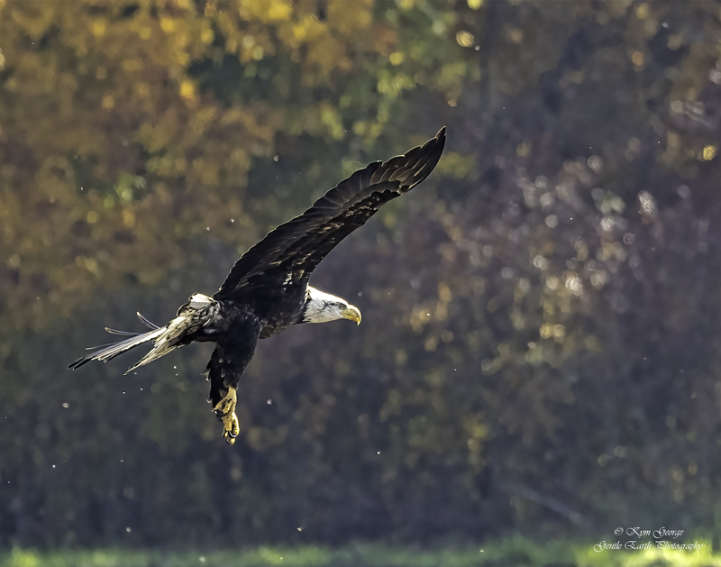 0H4A5999-Edit.jpg