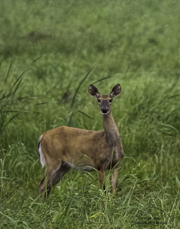 0H4A6022-Edit.jpg