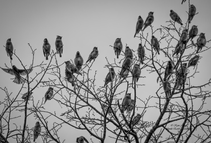 0H4A6197-Edit.jpg