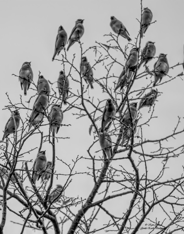 0H4A6198-Edit.jpg