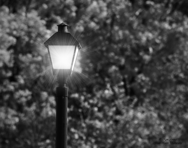 0H4A6387-Edit.jpg