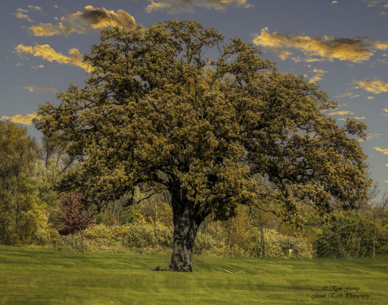 0H4A6429-Edit.jpg