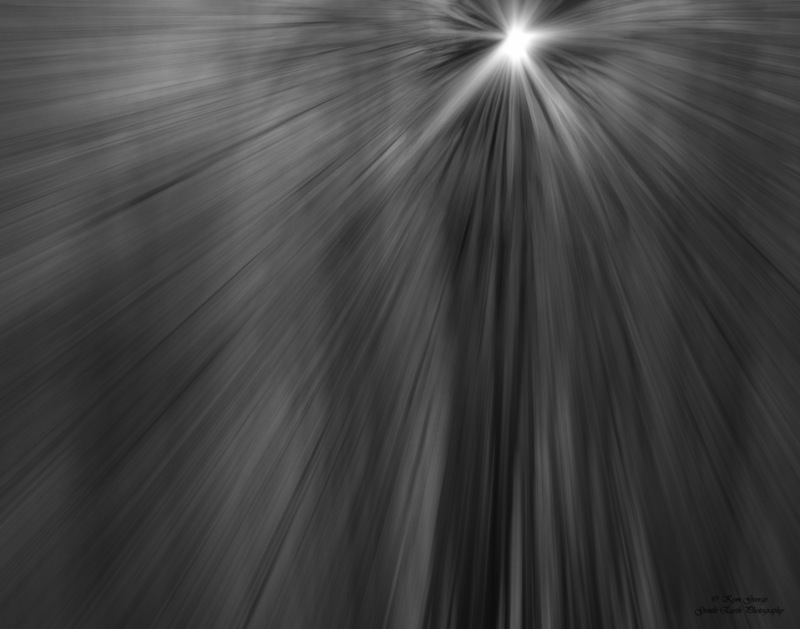 0H4A6520-Edit1.jpg