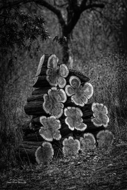 0H4A6552-Edit.jpg