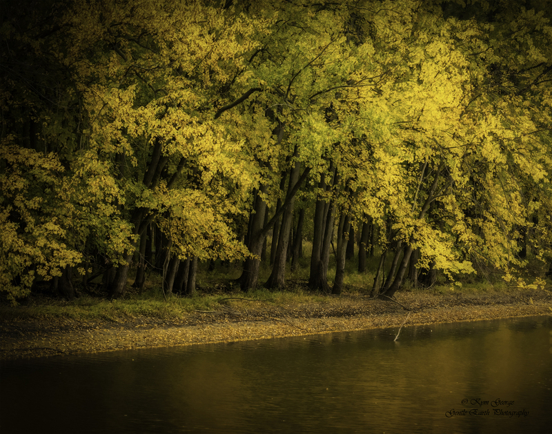 0H4A6583-Edit(1).jpg
