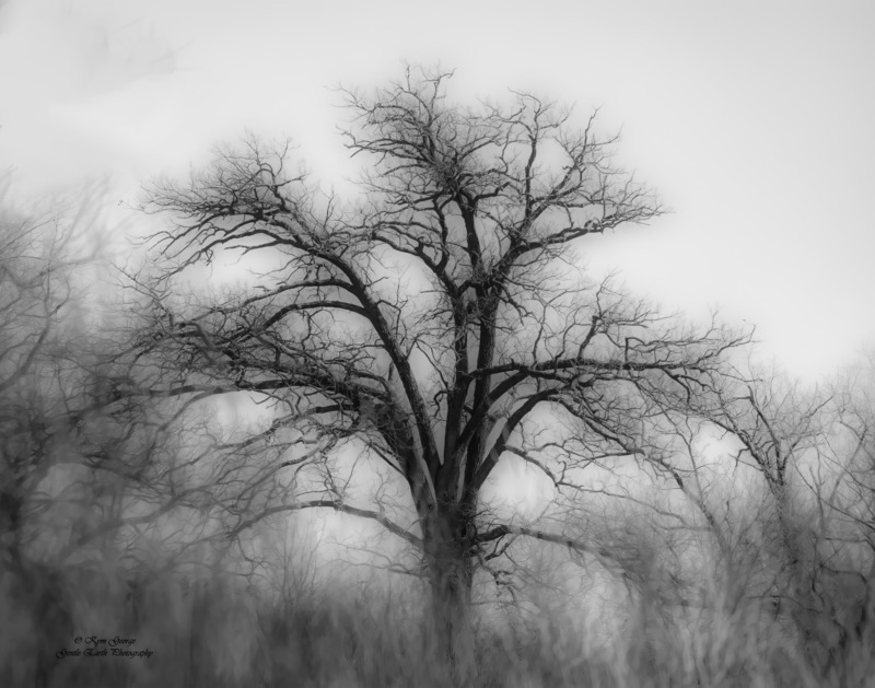 0H4A6602-Edit(1).jpg