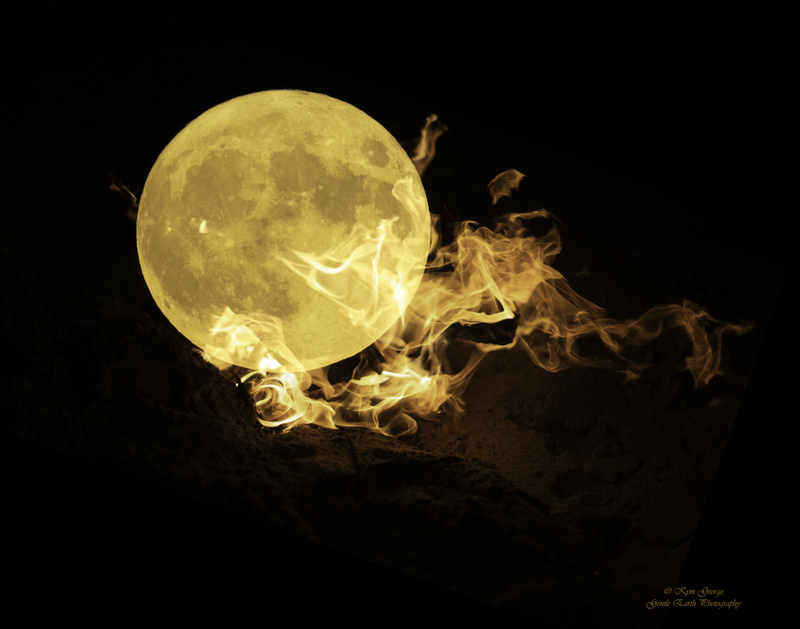 0H4A6720-Edit1 copy(1).jpg