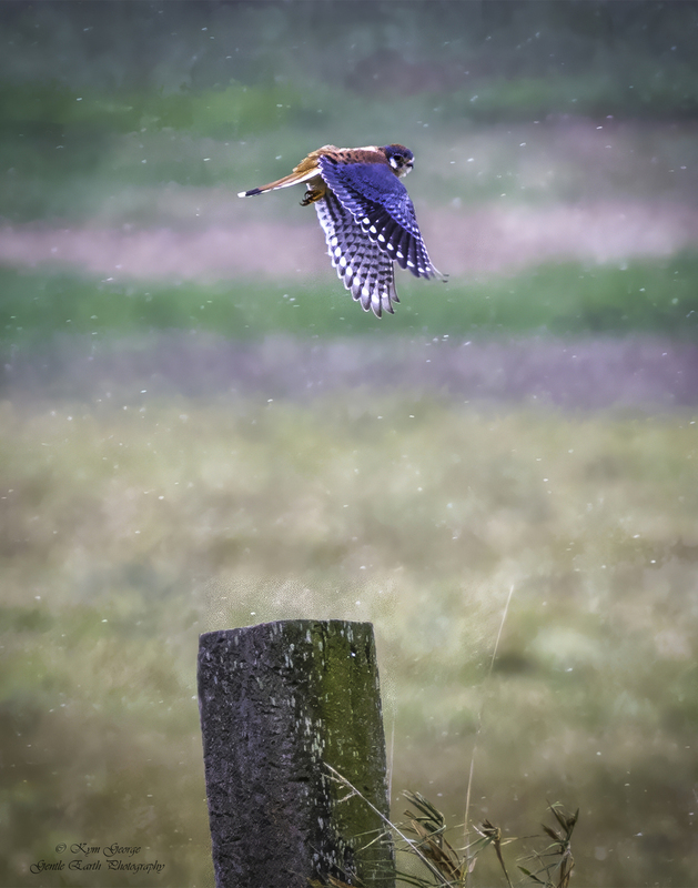 0H4A6856-Edit.jpg