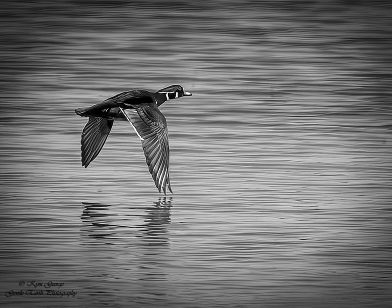 0H4A6873-Edit(1).jpg