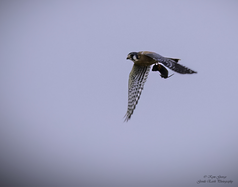 0H4A6912-Edit.jpg