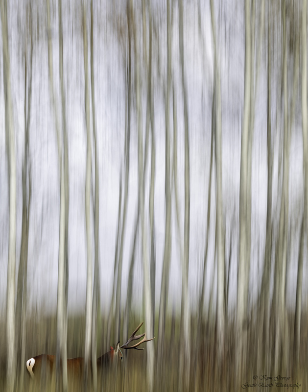 0H4A7055-Edit(1).jpg
