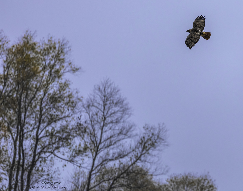 0H4A7157-Edit.jpg