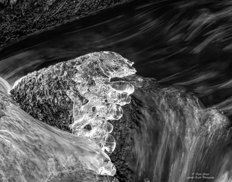 0H4A7243-Edit.jpg
